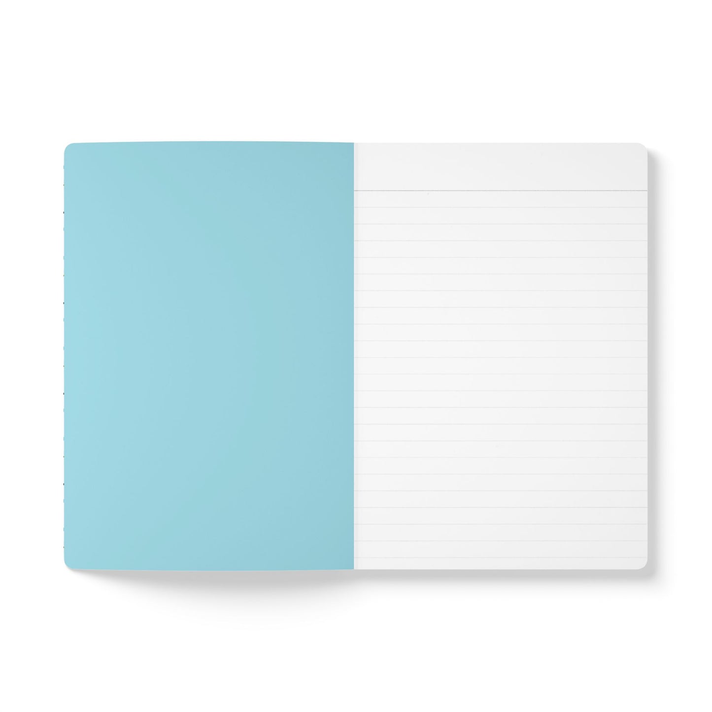 Polar Bear Journal | Earth Has Music Nature Notebook